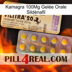 Kamagra 100Mg Gelée Orale Sildénafil new06